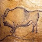 El pensamiento ecologista El pensamiento ecologista